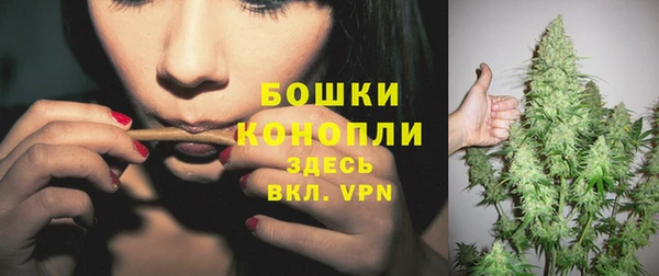 трава Заволжск