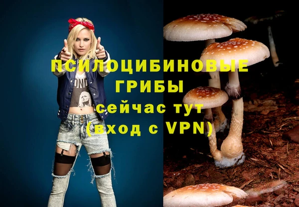 бутират Магадан