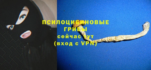 бошки Магас