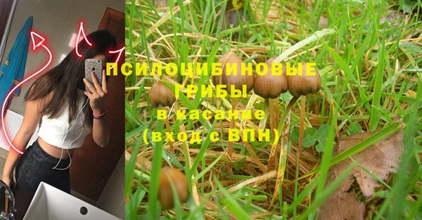бошки Магас